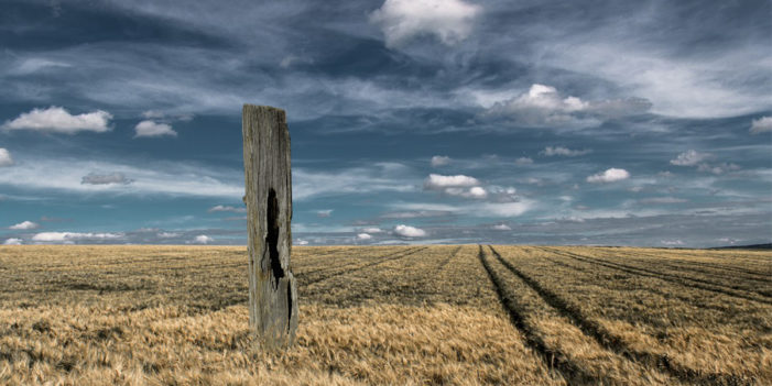GOP House And Senate Rally Around Rotting Fence Post In A Field