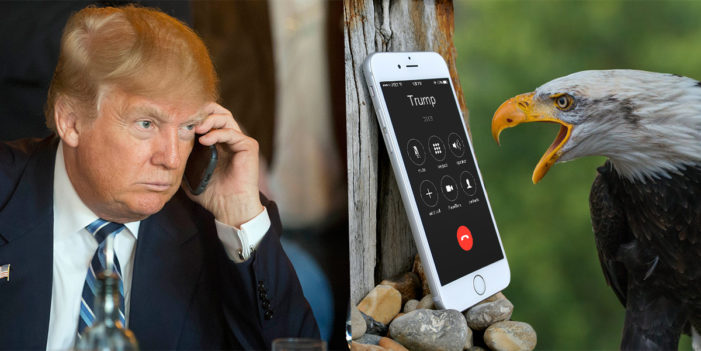 President Trump Receives Congratulatory Call From Bald Eagle