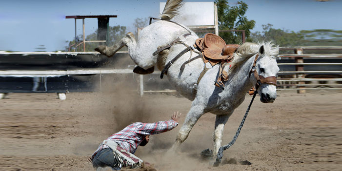 Horse Tells Cowboy Who Likes Trump To Get The F*** Off