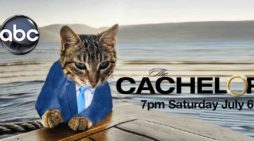 ABC Announces New Show For Summer 2020 – The Cachelor